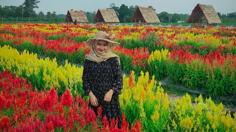 Tempat Wisata di Kota Metro Lampung, Ada Taman Bunga Sakura