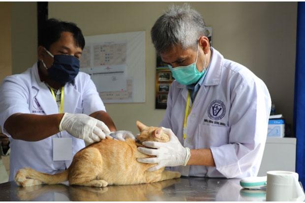  500 Hewan Peliharaan di Sleman Disasar Vaksin Rabies
