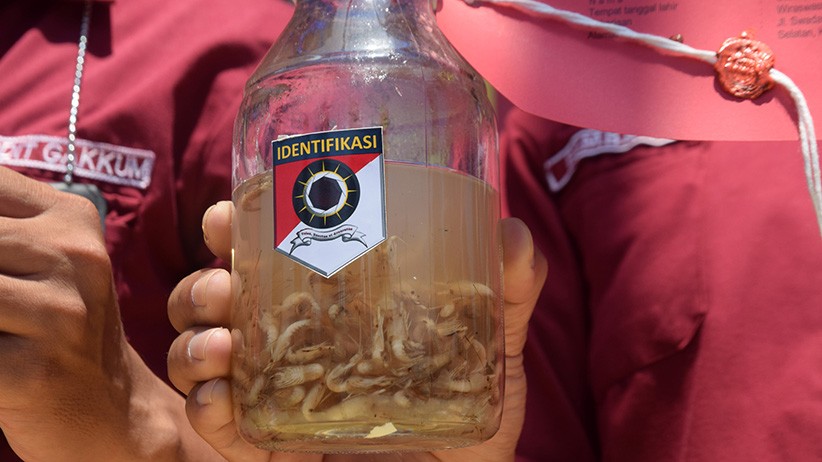 Ditpolairud Polda Jateng Gagalkan Penjualan Ribuan Benih Lobster Ilegal - Bagian 1