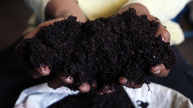 Begini Proses Pengolahan Daun Kering Menjadi Pupuk Organik - Bagian 1