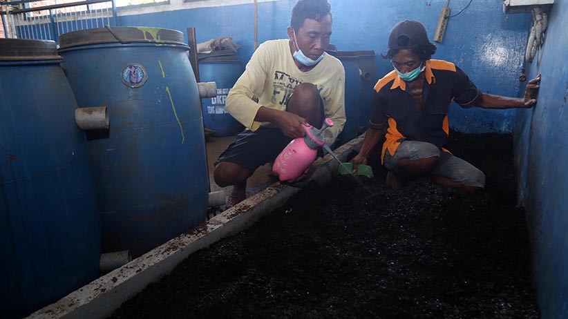 Begini Proses Pengolahan Daun Kering Menjadi Pupuk Organik - Bagian 4