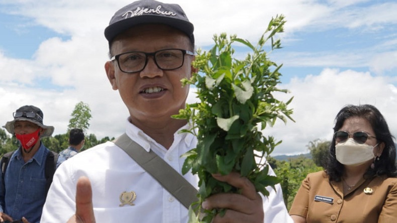 Kementan Dorong Perbenihan Modern Tanaman Stevia di Minahasa