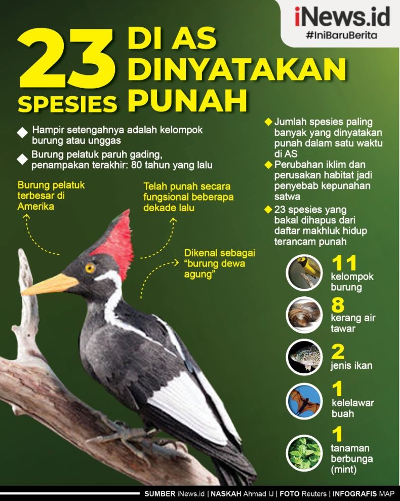 Infografis 23 Spesies Satwa di AS Dinyatakan Punah