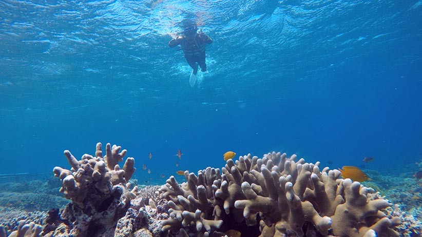 Snorkeling di Bali, Bule Inggris Hilang di Pantai Blue Lagoon