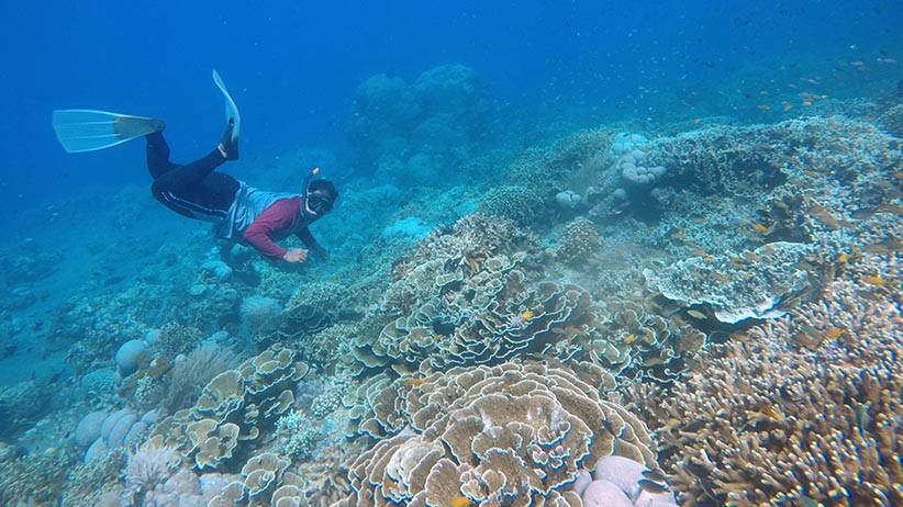 Snorkeling di Pantai Watudodol, Menikmati Pesona Bawah Laut Selat Bali - Bagian 1