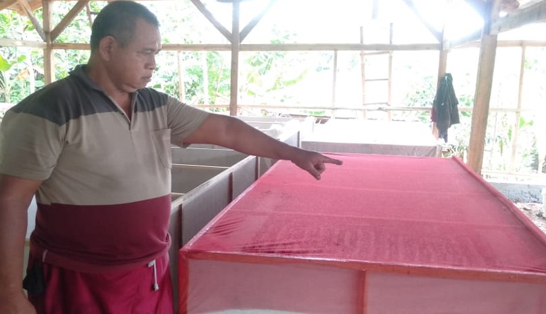 Ternak Jangkrik, Cara Yosep Keluar dari Masalah Ekonomi di Masa Pandemi