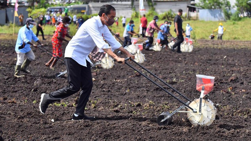 Momen Presiden Jokowi Membantu Petani Tanam Jagung di Sorong Papua Barat - Bagian 1