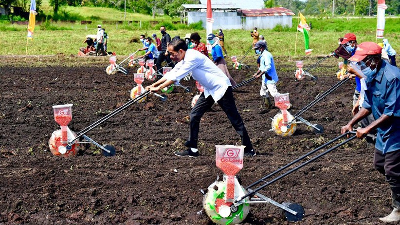 Momen Presiden Jokowi Membantu Petani Tanam Jagung di Sorong Papua Barat - Bagian 2