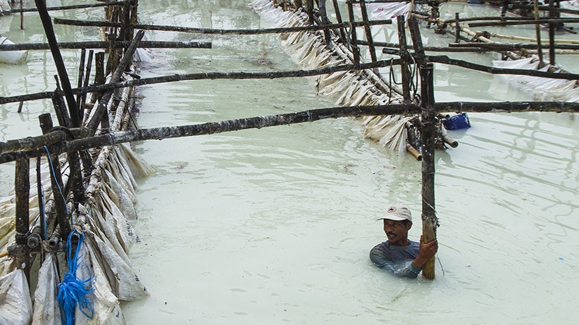 Pengolahan Limbah Tepung, Hasil Dijual Rp10.000 untuk Pakan Ternak - Bagian 2