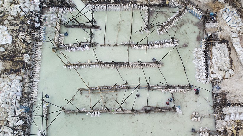Pengolahan Limbah Tepung, Hasil Dijual Rp10.000 untuk Pakan Ternak - Bagian 1