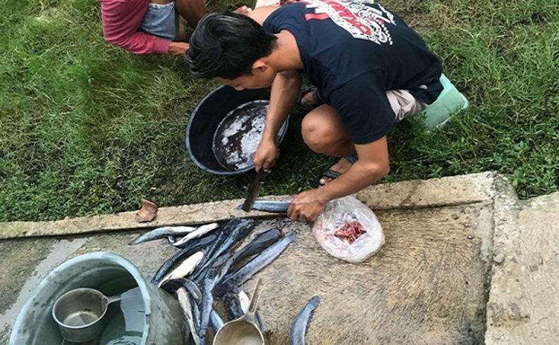 Kisah Inspiratif Pemuda di Rembang Kembangkan Budi Daya Ikan Lele Jadi Keripik Olahan
