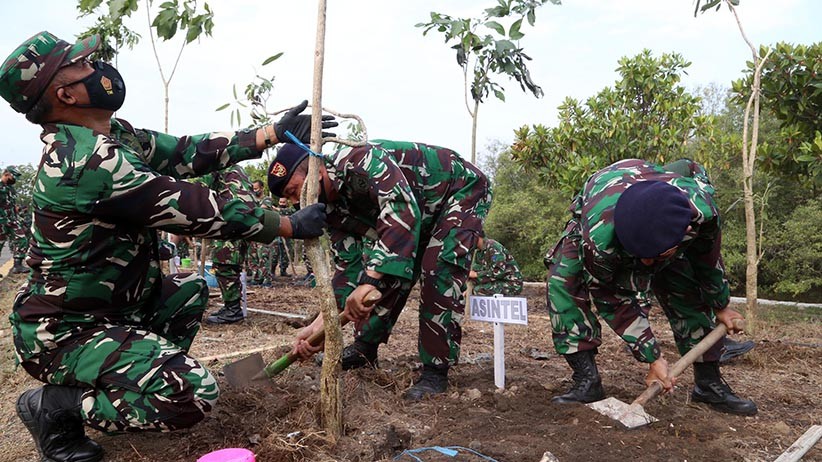 Prajurit TNI Tanam 200 Pohon Tabebuya  - Bagian 3