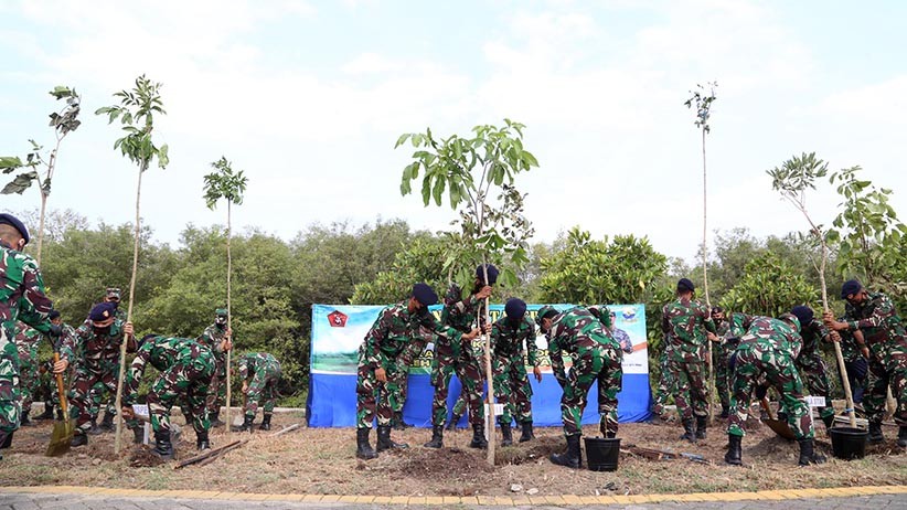 Prajurit TNI Tanam 200 Pohon Tabebuya  - Bagian 2
