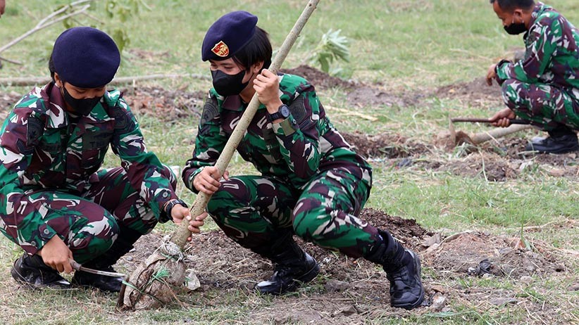 Prajurit TNI Tanam 200 Pohon Tabebuya  - Bagian 4