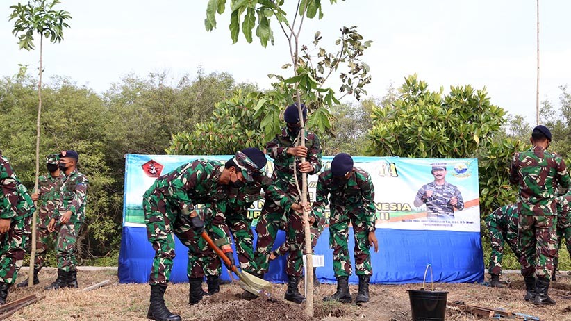 Prajurit TNI Tanam 200 Pohon Tabebuya  - Bagian 1