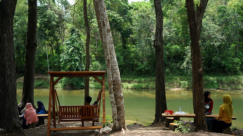 Hutan Bunder Gunungkidul Jadi Wisata Alternatif di Yogyakarta - Bagian 2