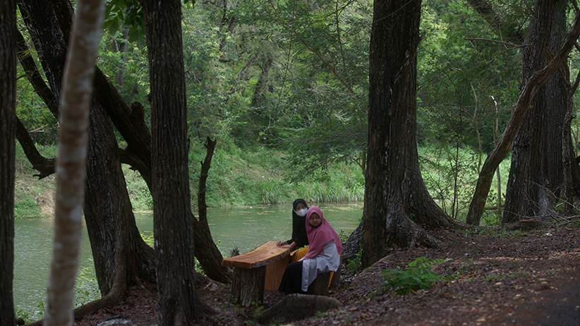 Hutan Bunder Gunungkidul Jadi Wisata Alternatif di Yogyakarta - Bagian 3