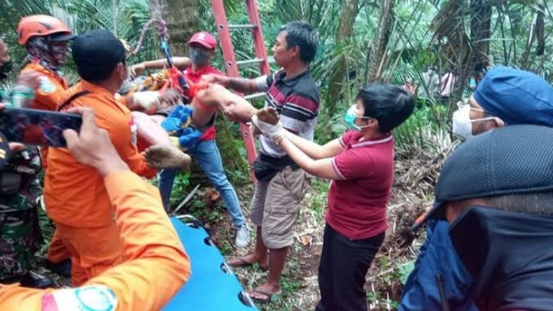 Diduga Serangan Jantung, Warga Bali Tewas di Atas Pohon Kelapa