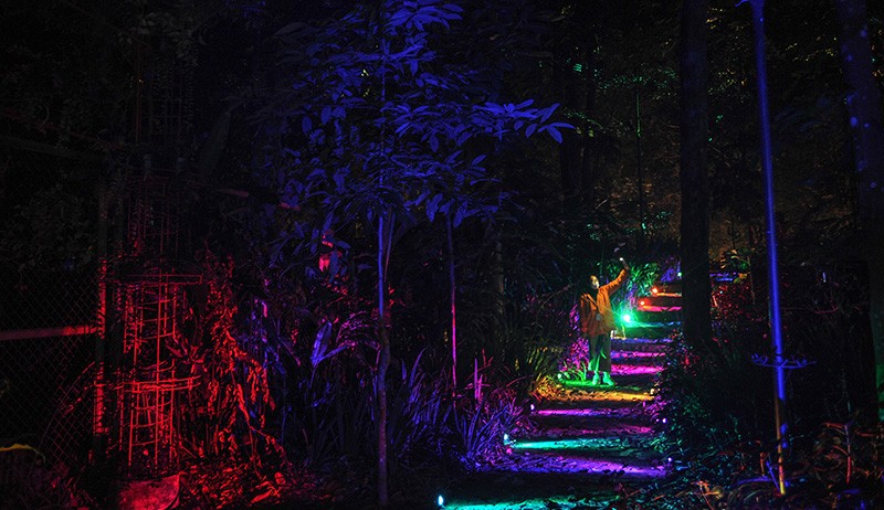 Taman Hutan Menyala, Sensasi Wisata Malam Hari di Kabupaten Bandung - Bagian 1