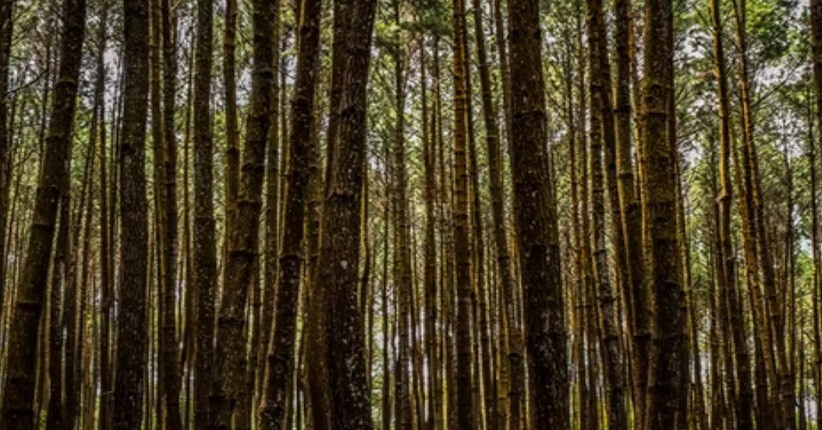 Tempat Wisata di Kudus 