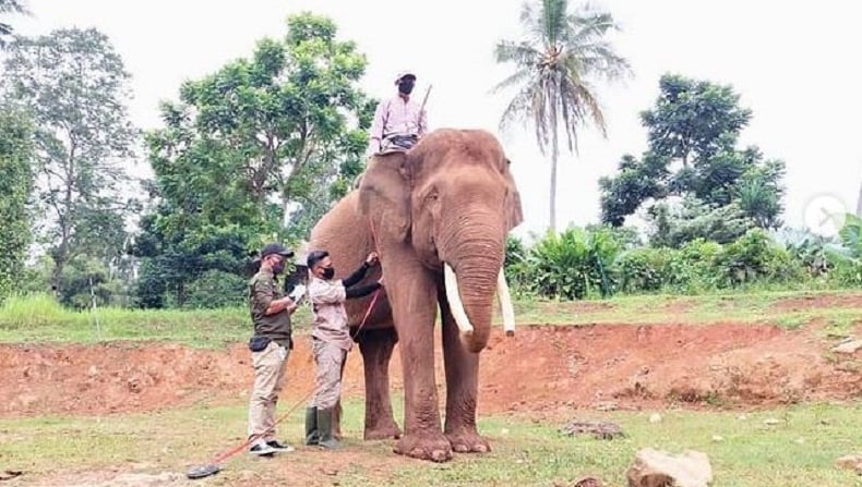 5 Tempat Piknik di Bandar Lampung yang Paling Populer, Nomor 3 Serasa di Jepang