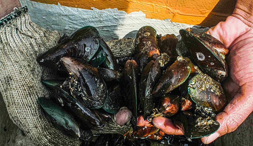 Melihat Perjuangan Pencari Nafkah dari Balik Tanggul Muara Baru - Bagian 5