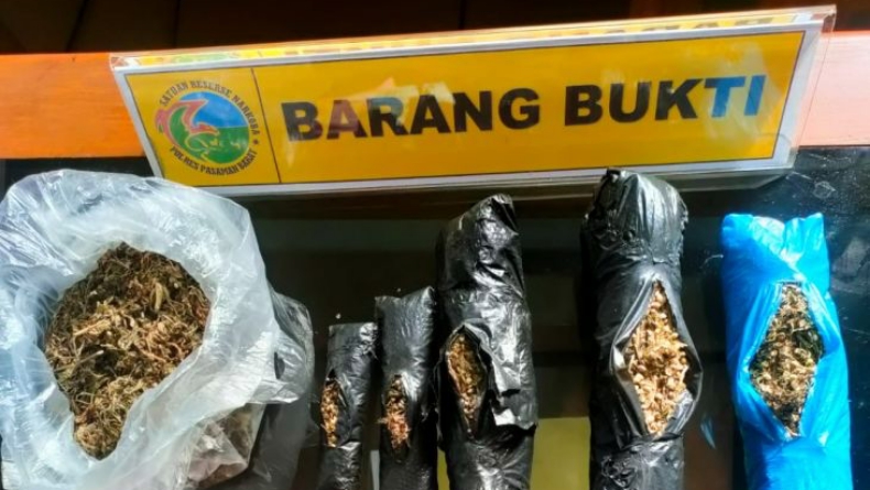 Pemilik Warkop di Aceh Ditangkap, 17 Paket Ganja Ditemukan di Tempat Sampah