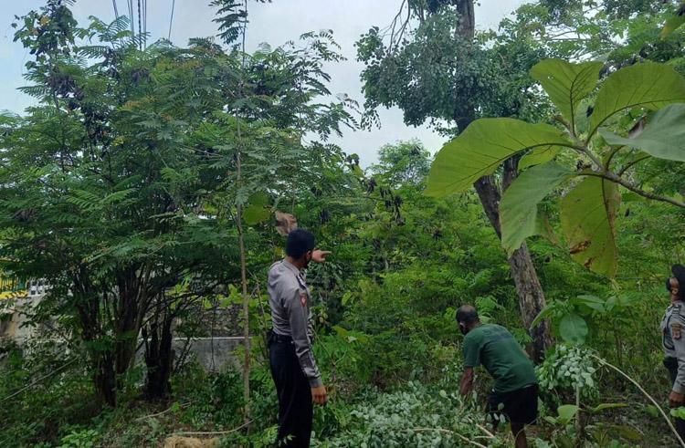 Cari Pakan Ternak, Kakek di Gunungkidul Tewas Jatuh dari Pohon Setinggi 8 Meter 