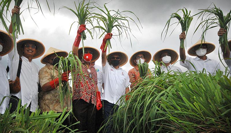 OJK Bantu Petani Serai dari Pembiayaan KUR hingga Ekspor Komoditas Minyak Nabati - Bagian 1