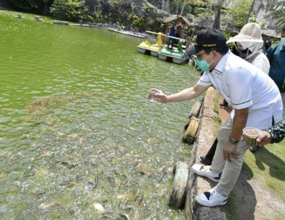 Desa Sekapuk Raup Miliaran Rupiah dari Wisata Alam Bekas Pembuangan Sampah