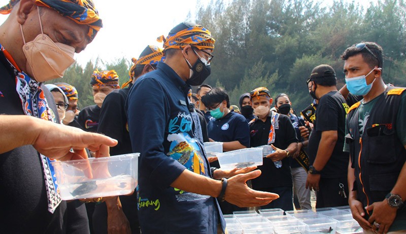 Menteri Sandiaga Uno Berdayakan Masyarakat Melalui Konservasi Penyu  - Bagian 3