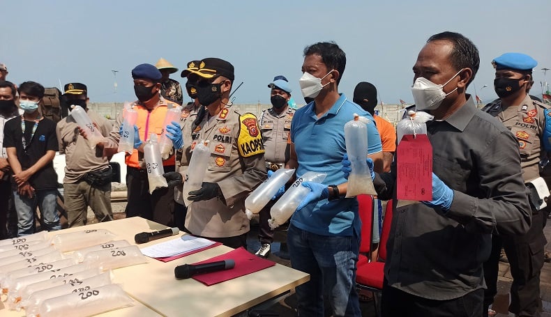 Selundupkan Ribuan Benur ke Luar Negeri, Pegawai Swasta di Sukabumi Ditangkap Polisi