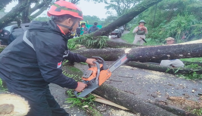 Hujan Deras Disertai Angin Kencang Landa Sukabumi, 1 Rumah Rusak 2 pohon Tumbang