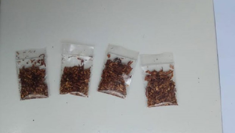 Nongkrong di Pos Ronda, 2 Pemuda Makassar Diam-Diam Isap Tembakau Gorila