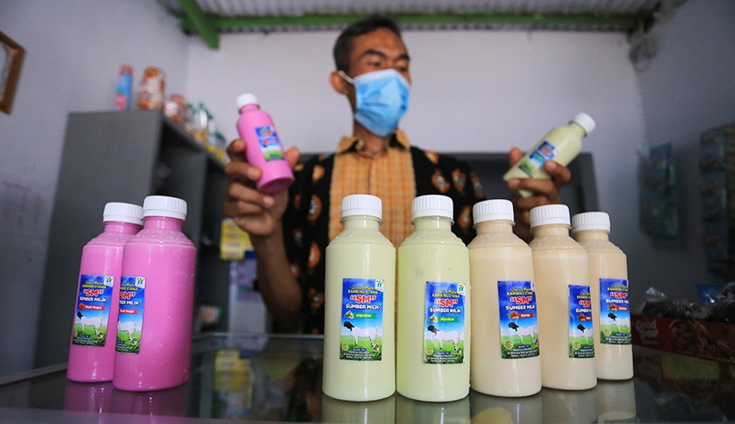Produksi Susu Kambing Etawa Meningkat 50 Persen pada Masa Pandemi - Bagian 2