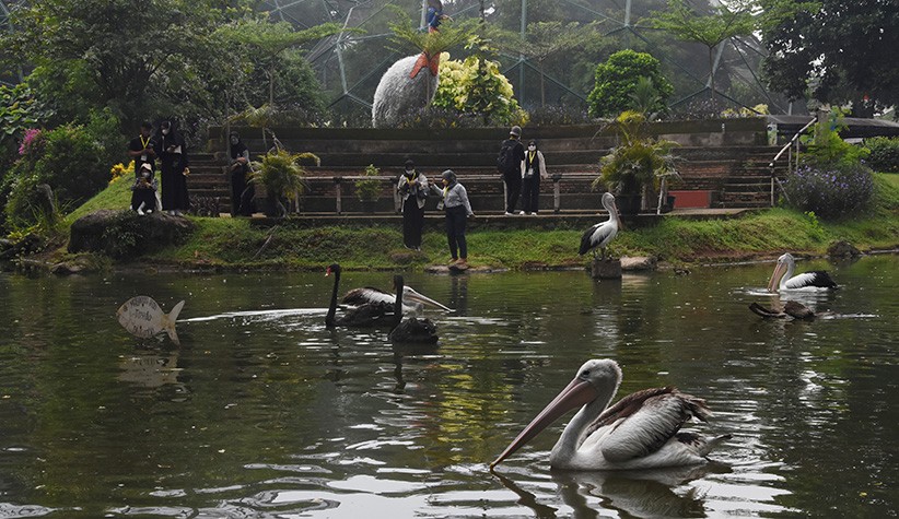 Relaksasi, 102 Tenaga Kesehatan Wisma Atlet Jalan-Jalan ke TMII - Bagian 2