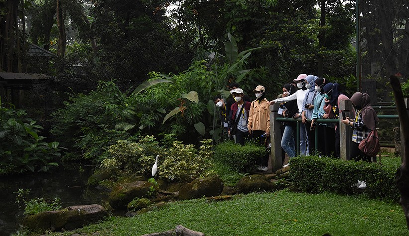 Relaksasi, 102 Tenaga Kesehatan Wisma Atlet Jalan-Jalan ke TMII - Bagian 1
