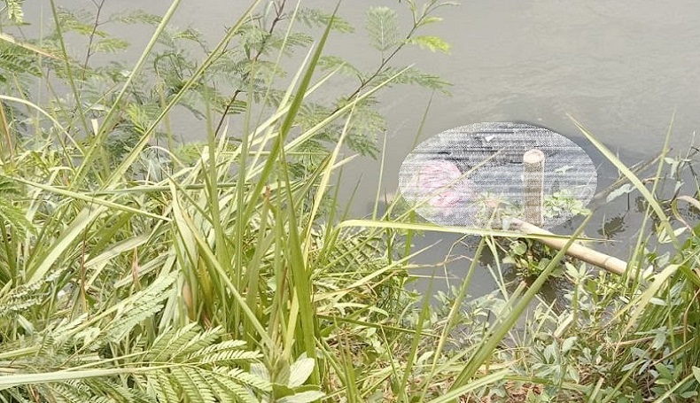  Geger, Jasad Wanita Berhijab Ditemukan Mengambang di Saluran Irigasi Karawang