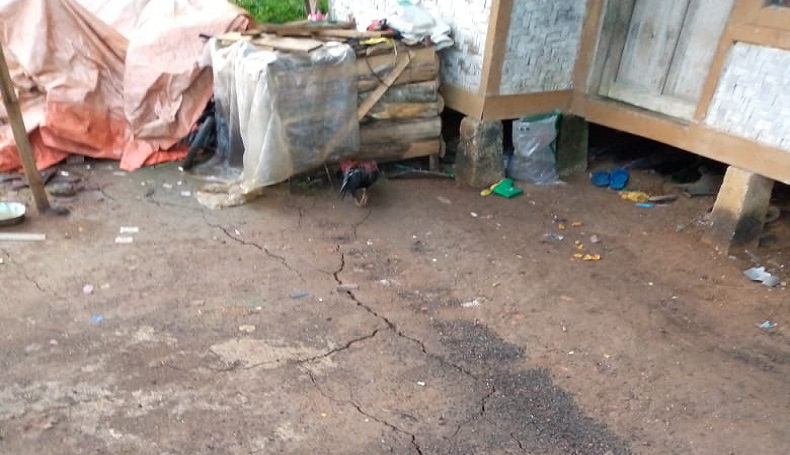    Bencana Gerakan Tanah Intai Kampung Cigulusur Sukabumi, Rumah Warga Terancam
