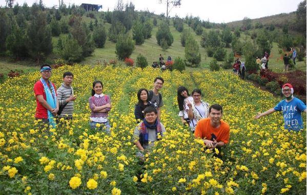 5 Tempat Wisata di Karo Sumatera Utara, Nomor 3 Makan Jeruk Sepuasnya