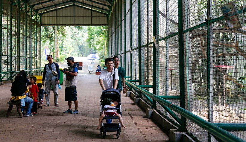 Anak Usia di Bawah 12 Tahun Boleh Masuk Ragunan, Begini Suasananya - Bagian 1