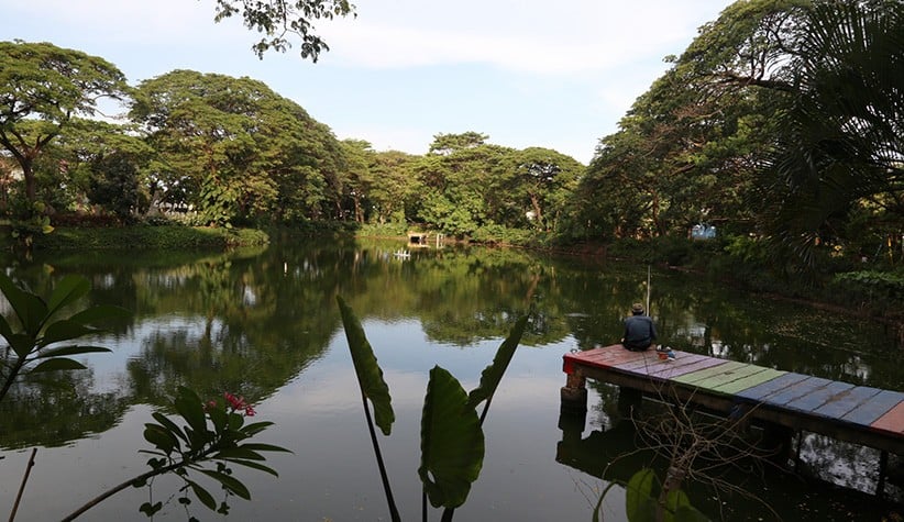 Danau Taman Kebun Bibit Wonorejo Kembali Dibuka untuk Umum - Bagian 3