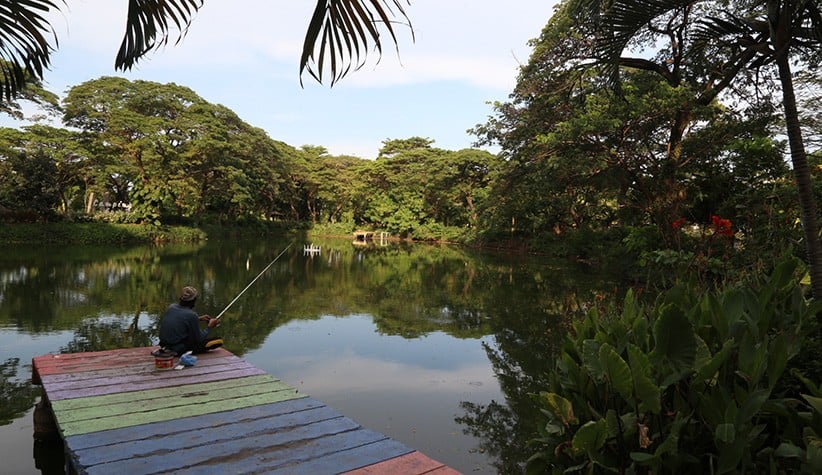 Danau Taman Kebun Bibit Wonorejo Kembali Dibuka untuk Umum - Bagian 2