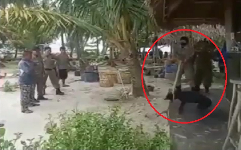 title Ini Detik-Detik Satpol PP Aceh Evakuasi Anjing Peliharaan yang Akhirnya Mati Ini Detik-Detik Satpol PP Aceh Evakuasi Anjing Peliharaan yang Akhirnya Mati