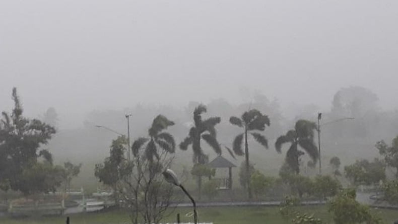 Padang Diterjang Badai, 2 Rumah Terbakar dan Pohon Tumbang di 10 Lokasi