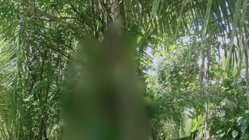 Polisi Ungkap Kasus Gantung Diri di Halmahera Utara, Diduga karena Cemburu