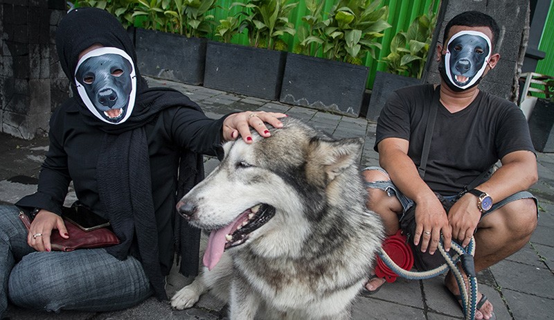 Aksi Keprihatinan terhadap Dugaan Penyiksaan Anjing Canon di Aceh - Bagian 2