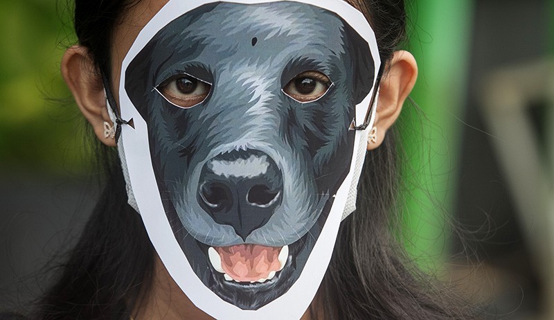 Aksi Keprihatinan terhadap Dugaan Penyiksaan Anjing Canon di Aceh - Bagian 3