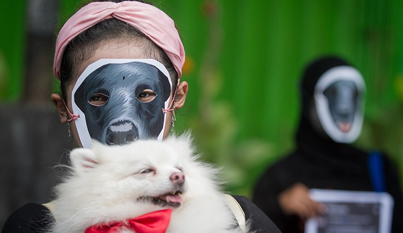 Aksi Keprihatinan terhadap Dugaan Penyiksaan Anjing Canon di Aceh - Bagian 1