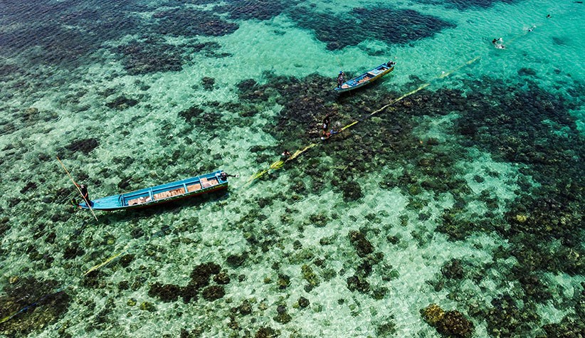 Tradisi Wer Warat Maluku Tenggara, Tangkap Ikan dengan Tali dan Daun Kelapa - Bagian 2
